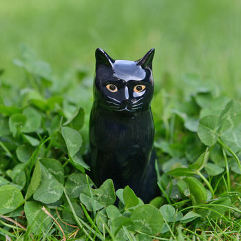 Lucky Black Cat, 2 of 5