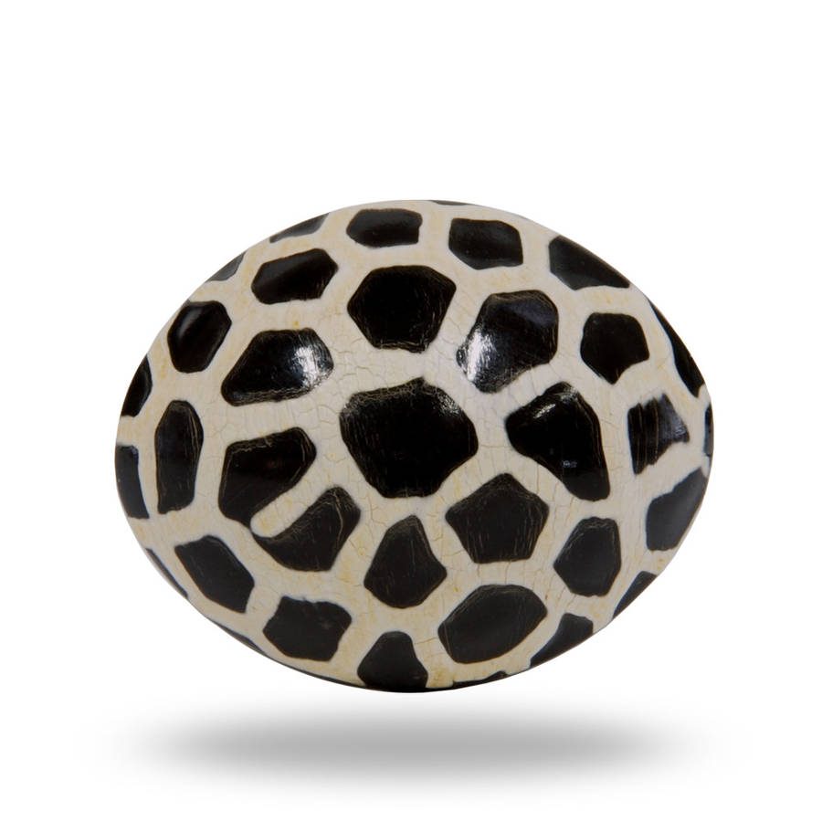 giraffe horn knob animal print by trinca-ferro | notonthehighstreet.com