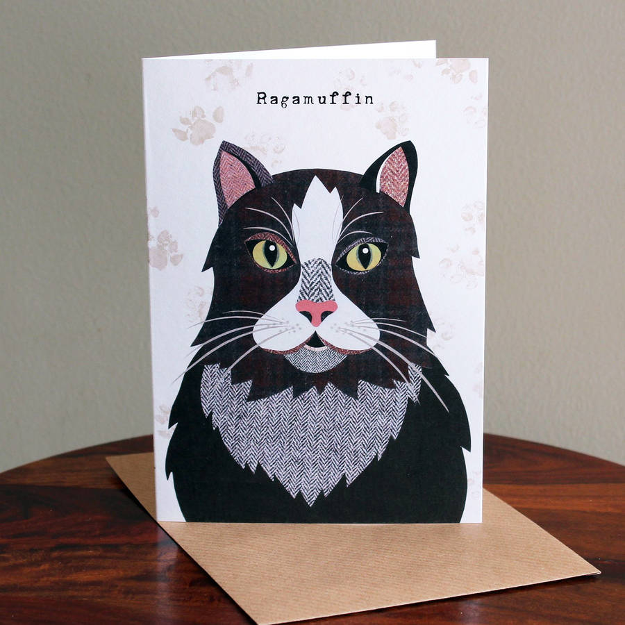 ragamuffin cat card by simon hart