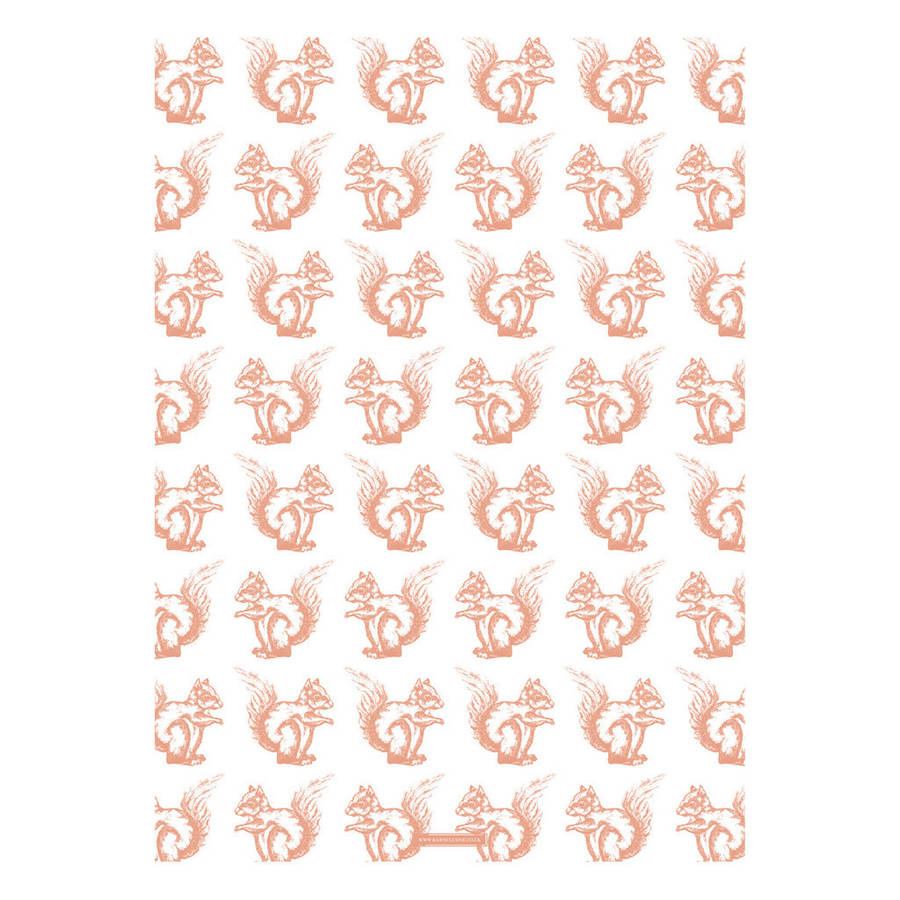 Squirrel Wrapping Paper. Set Of Two By RawXclusive | notonthehighstreet.com