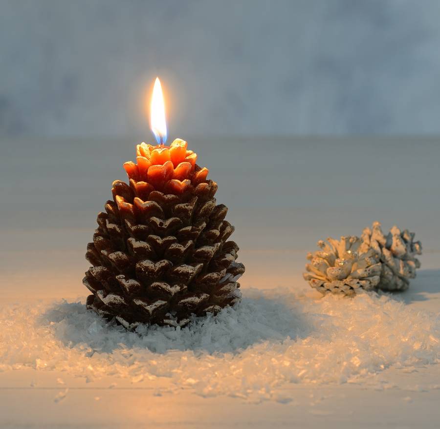 snowy pine cone candle by the flower studio