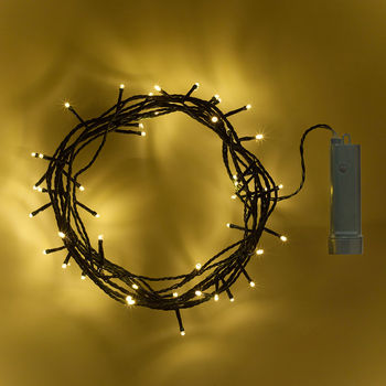50 Warm White Outdoor Battery Fairy Lights, 4 of 4