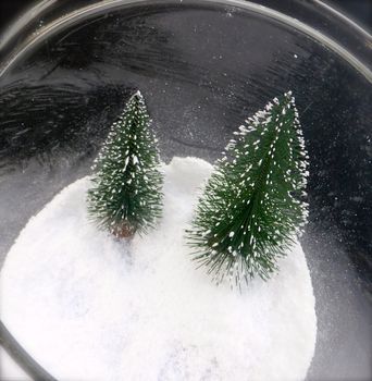 Set Of Two Snowy Bottle Brush Christmas Trees, 3 of 7