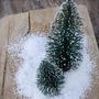 Set Of Two Snowy Bottle Brush Christmas Trees, thumbnail 4 of 7