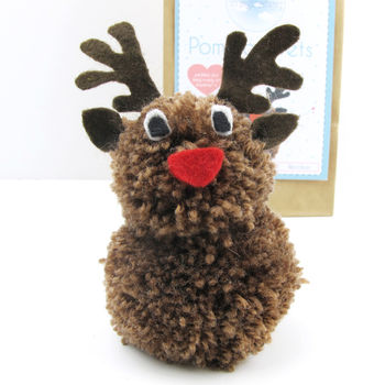 Pom Pom Pets Craft Kit Reindeer, 3 of 4