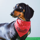 Personalised Dog Neckerchief