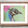 Pink Peacock Limited Signed Print, thumbnail 1 of 2