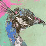 Pink Peacock Limited Signed Print, thumbnail 2 of 2