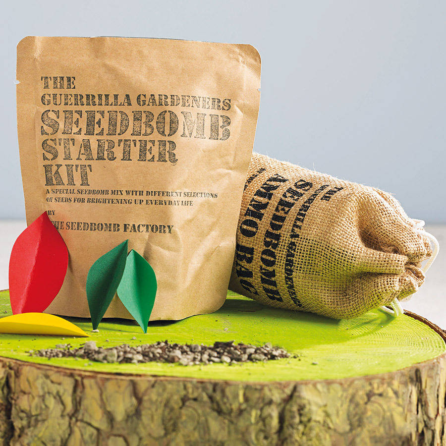 Christmas Tree Seed Bomb Kit By The Seed Bomb Factory