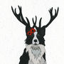 Illustrated Border Collie Deer Blank Card, thumbnail 2 of 2