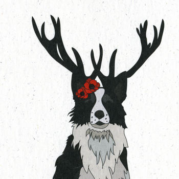 Illustrated Border Collie Deer Blank Card, 2 of 2