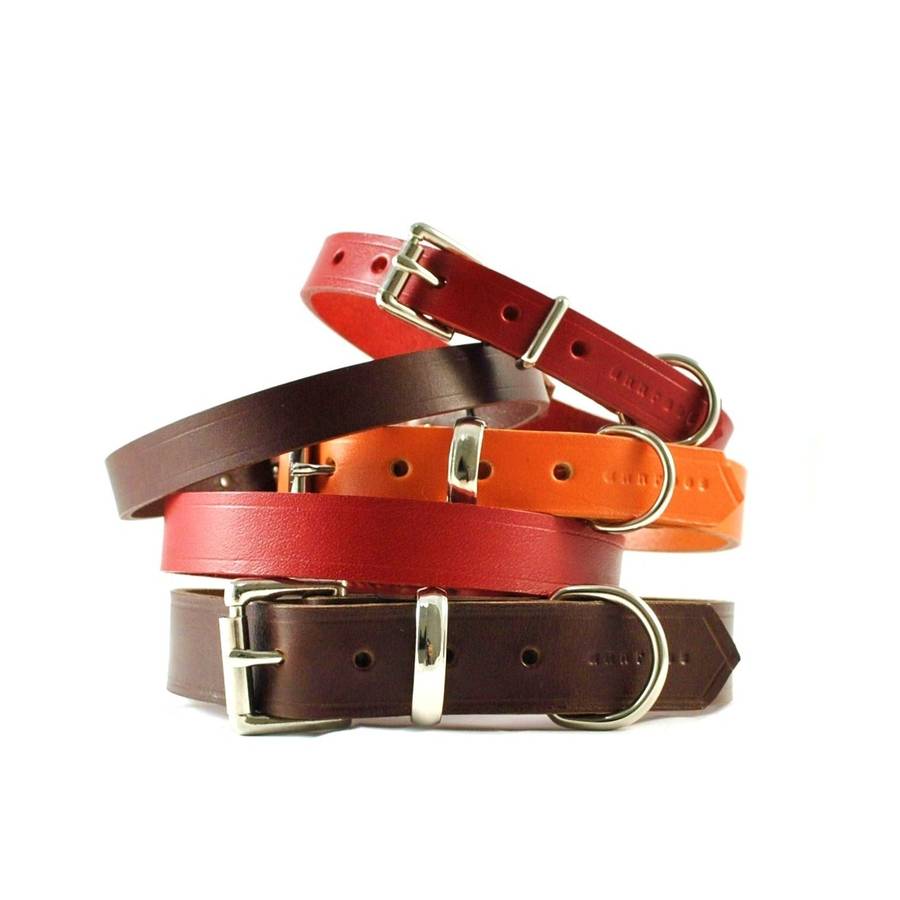 classic leather dog collar by annrees | notonthehighstreet.com