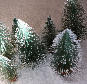 Set Of Two Snowy Bottle Brush Christmas Trees, 5 of 7