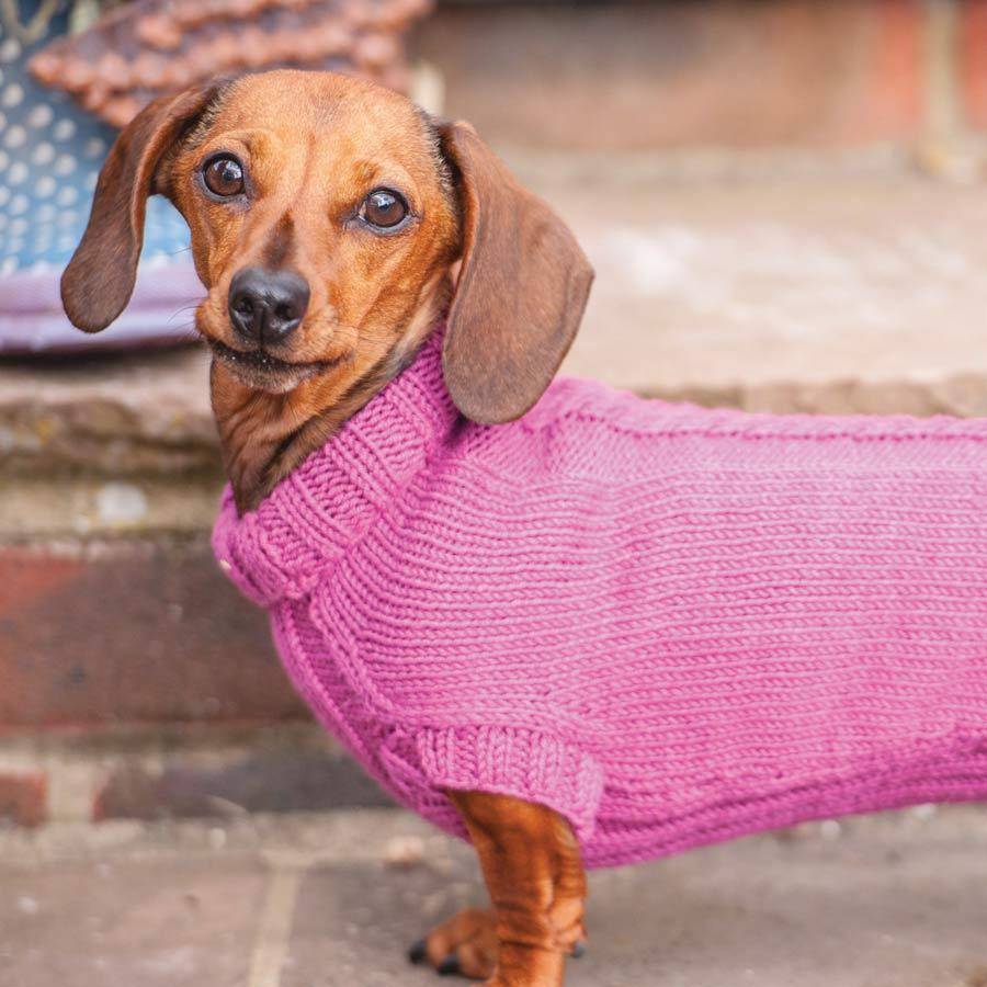 dog jumper knitting kit dashing dachshund by redhound for dogs ...