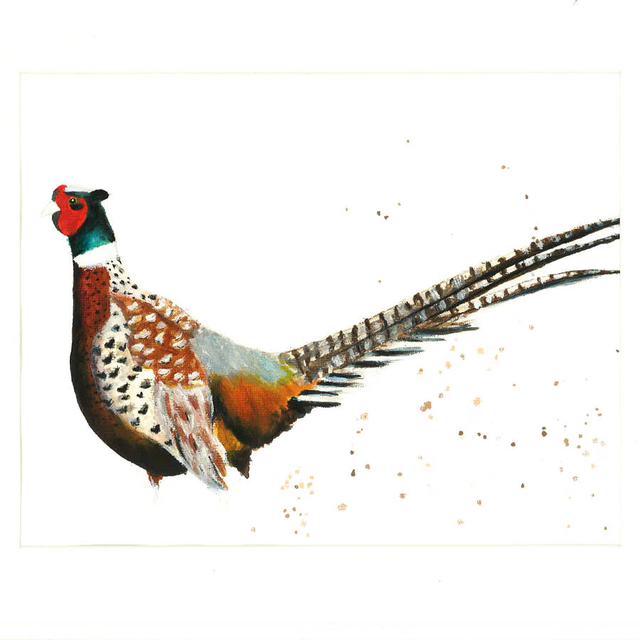 pheasant print by rhiannon findlay art ...