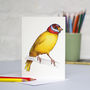 Canary In A Mexican Wrestling Mask Card, thumbnail 2 of 2