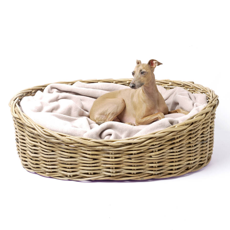 dog basket