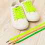 Three Pairs Of Neon Shoelaces, thumbnail 3 of 7
