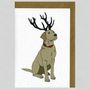 Illustrated Yellow Labrador Deer Blank Card, thumbnail 1 of 2