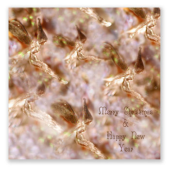 Golden Fairies Christmas Cards Pack Of 10, 2 of 2