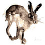 Hare Print, Running Hare, thumbnail 2 of 2
