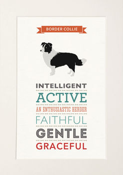Border Collie Dog Breed Traits Print, 4 of 6