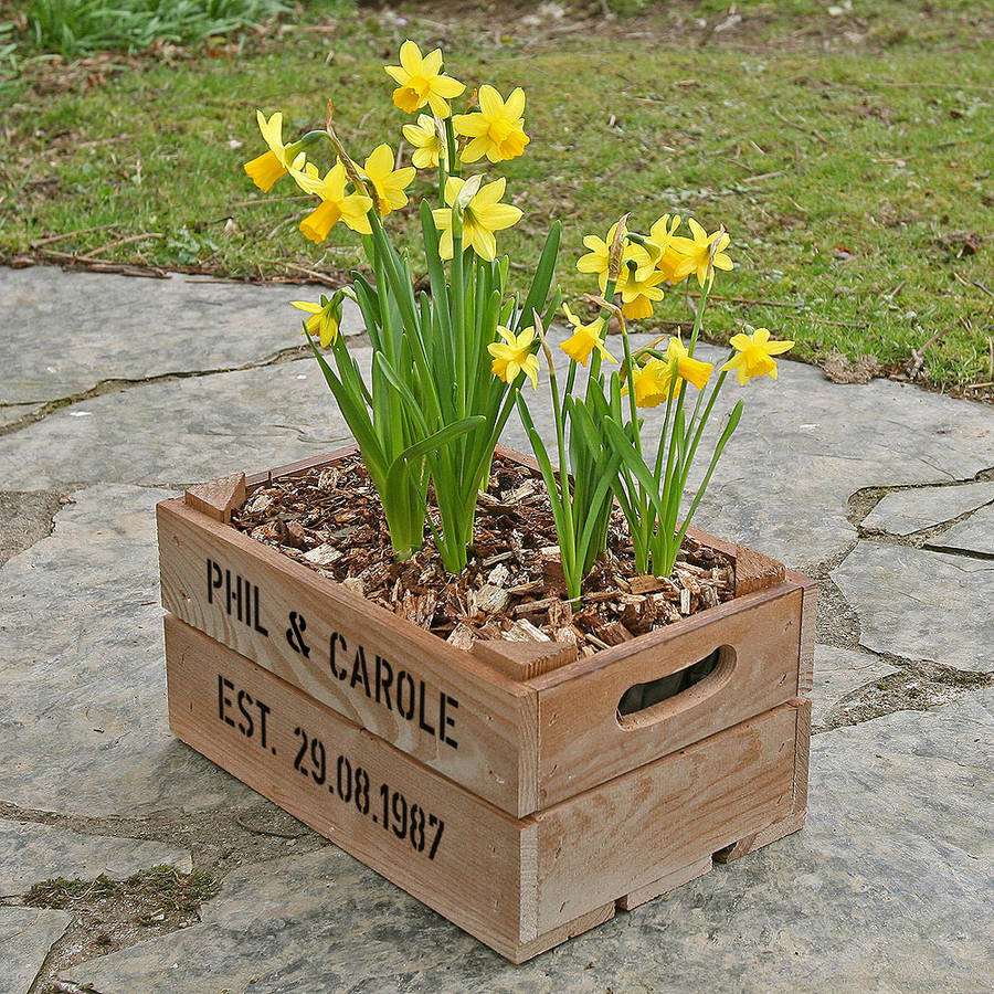 Personalised Small Crate With Daffodil Bulbs By Plantabox