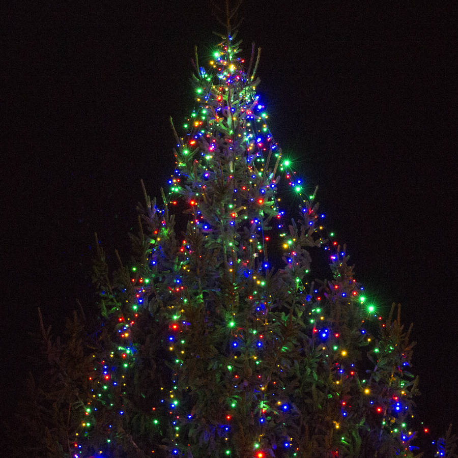 Lights On The Christmas Tree 