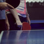 Table Tennis Masterclass For One, thumbnail 2 of 9