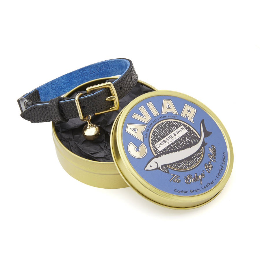 The 'beluga' Cat Collar With Safety Catch By Cheshire & Wain ...