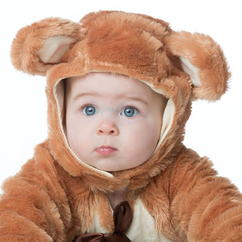 Baby Teddy Bear Dress Up Costume, 4 of 5
