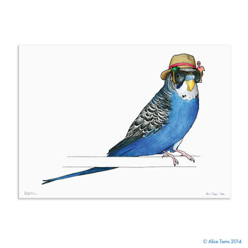 Budgie In A Trilby Unframed Print, 2 of 3