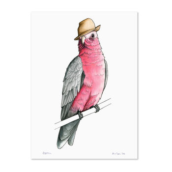 Galah In A Trilby Unframed Print, 2 of 3