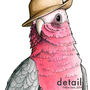 Galah In A Trilby Unframed Print, thumbnail 3 of 3