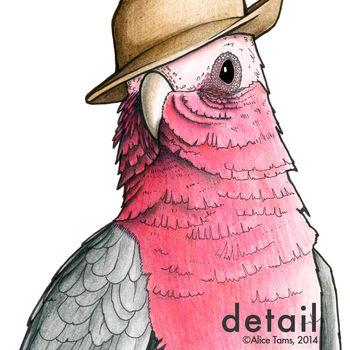 Galah In A Trilby Unframed Print, 3 of 3