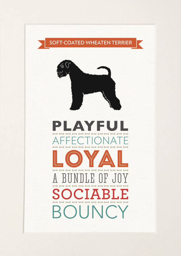 are wheaten terriers loyal