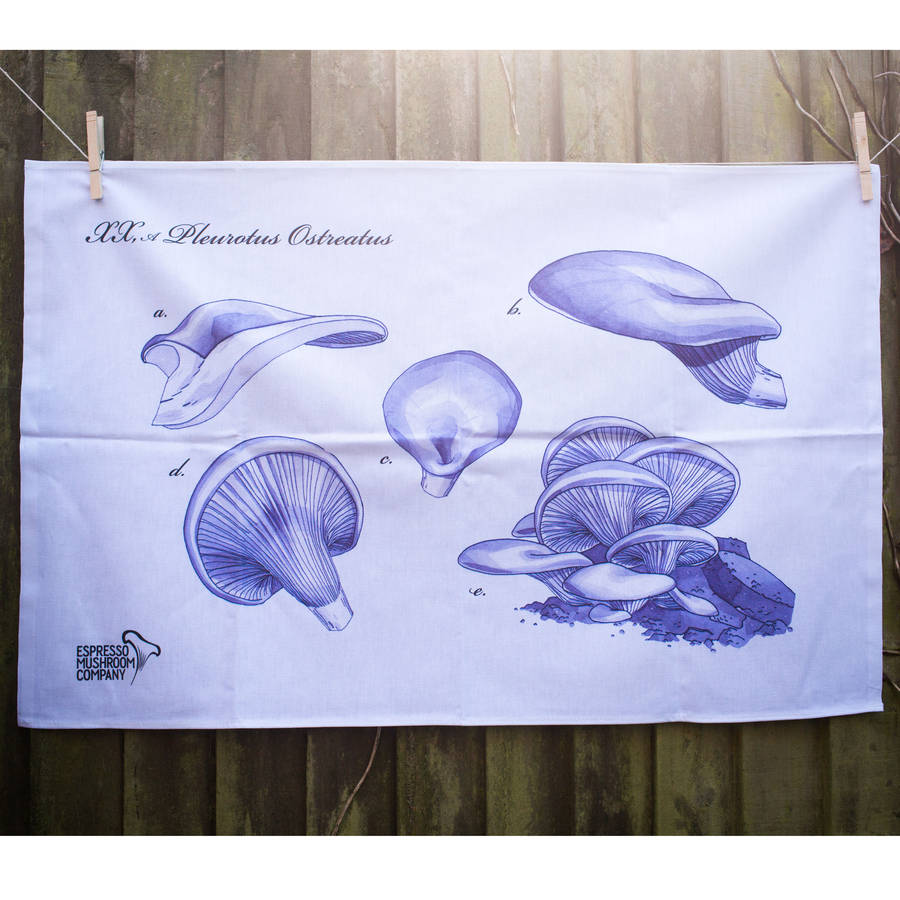 gift bundle for mushroom lovers by espresso mushroom company