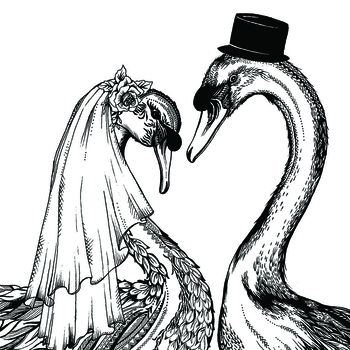 Wedding Swans Greeting Card, 2 of 2
