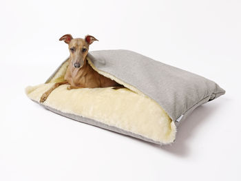 Charley Chau Snuggle Beds In Weave, 5 of 10