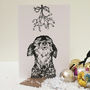 Mistletoe Snoggy Doggy Christmas Card, thumbnail 1 of 2
