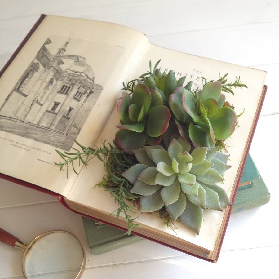 deluxe edition succulents in vintage book planter by beaux ...