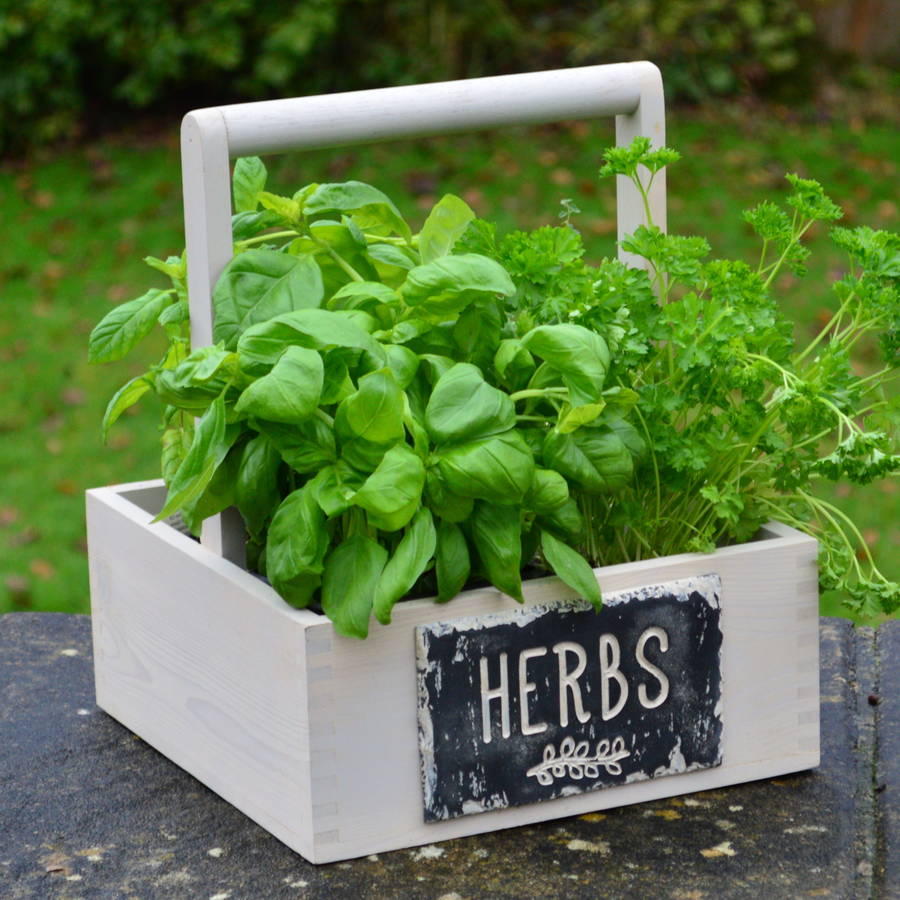 Engraved Slate And Wood Herb Crate By Winning Works