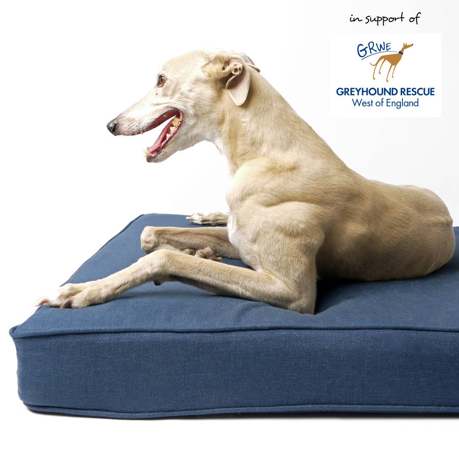 The Forever Hounds Trust Big Memory Foam Dog Bed By Charley Chau