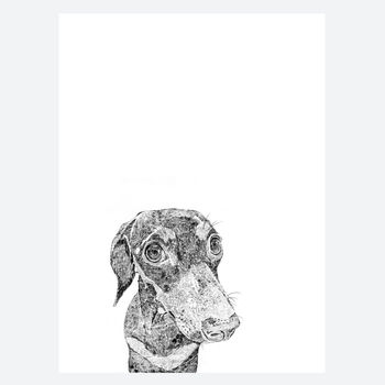 Dachshund Dog Print, 3 of 3