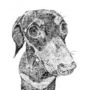 Dachshund Dog Print, thumbnail 2 of 3