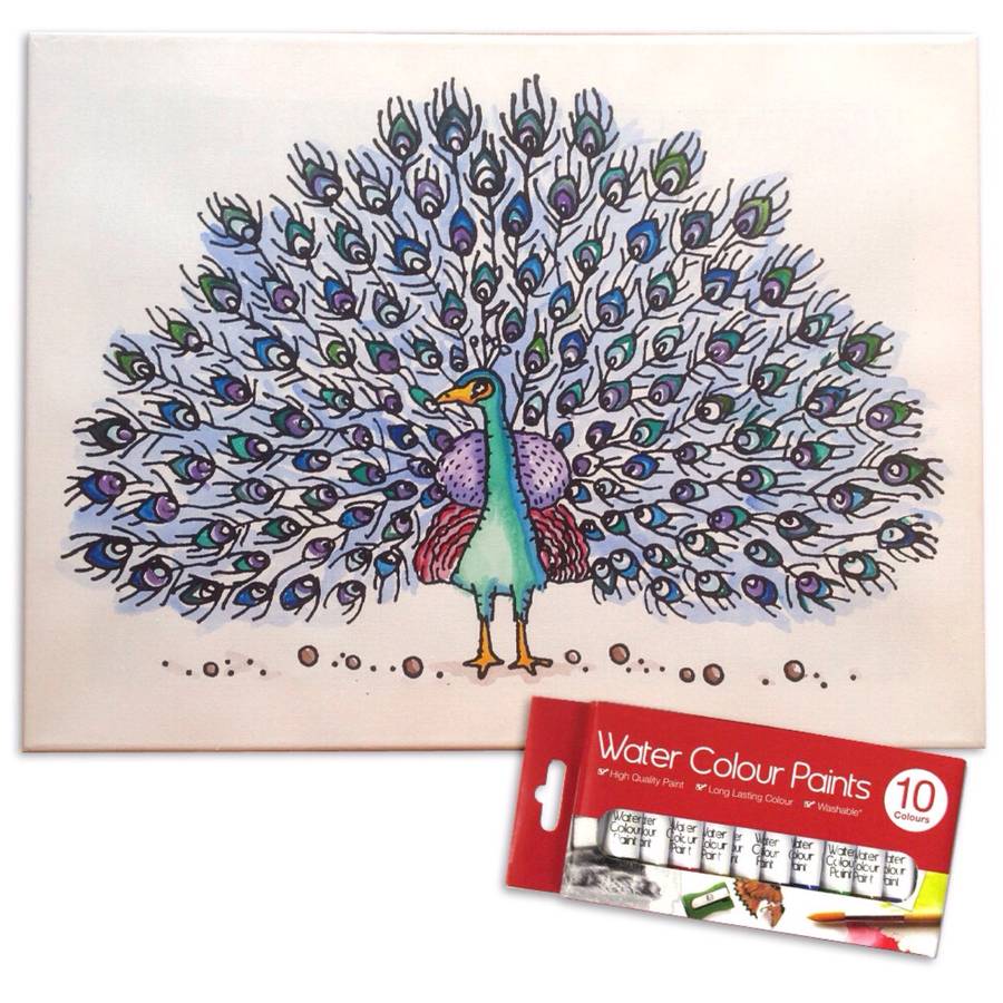 paint-your-own-canvas-kit-peacock-by-pink-pineapple-home-gifts