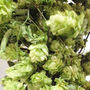 Dried Hops Vine Garland | Natural Christmas Garland, thumbnail 3 of 12