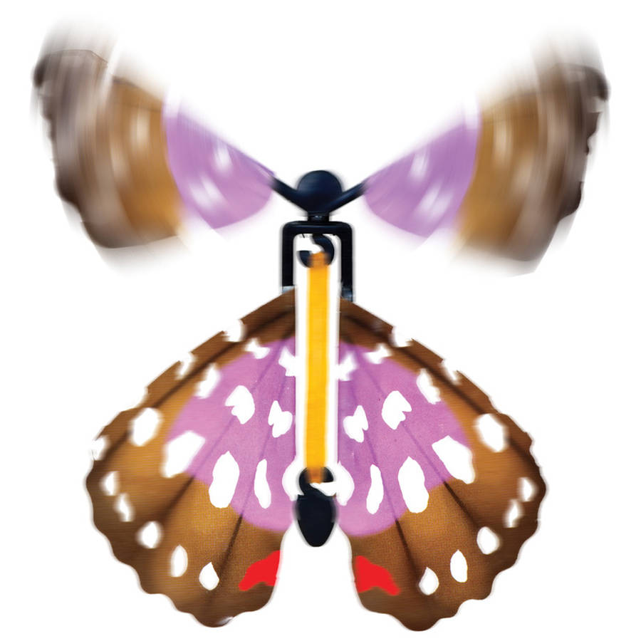 How Much Is The Fluttering Butterfly Set