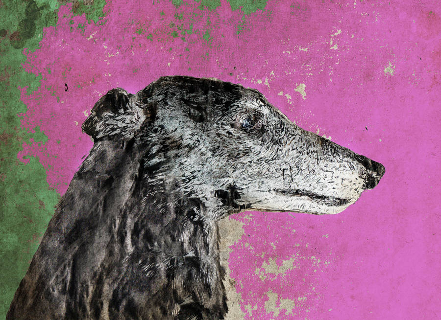 Lurcher Dog Limited Edition Signed Print, 1 of 2