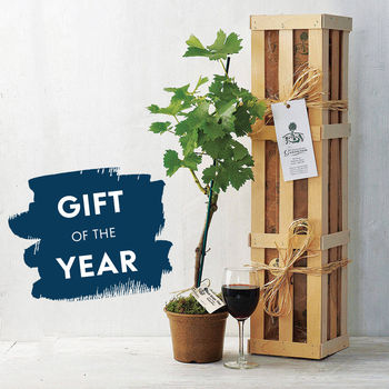 Grapevine Gift Crate, 3 of 11